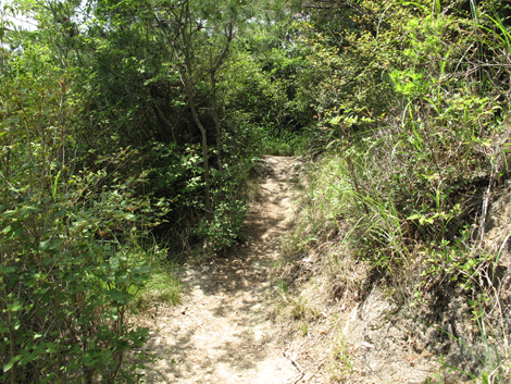 20140602hike (88)